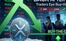 XRP价格在反弹后回调，交易者关注逢低买入机会